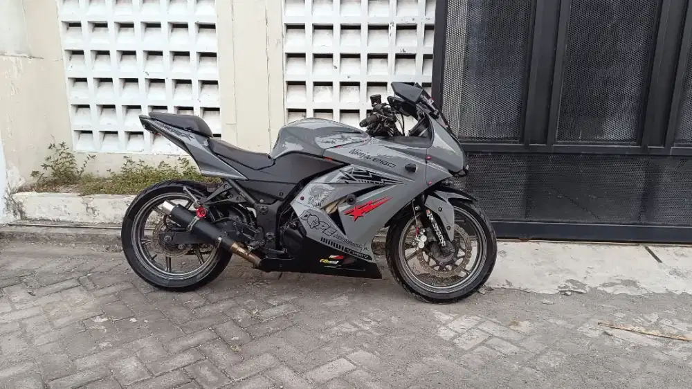 kAWASAKI NINJA 250R