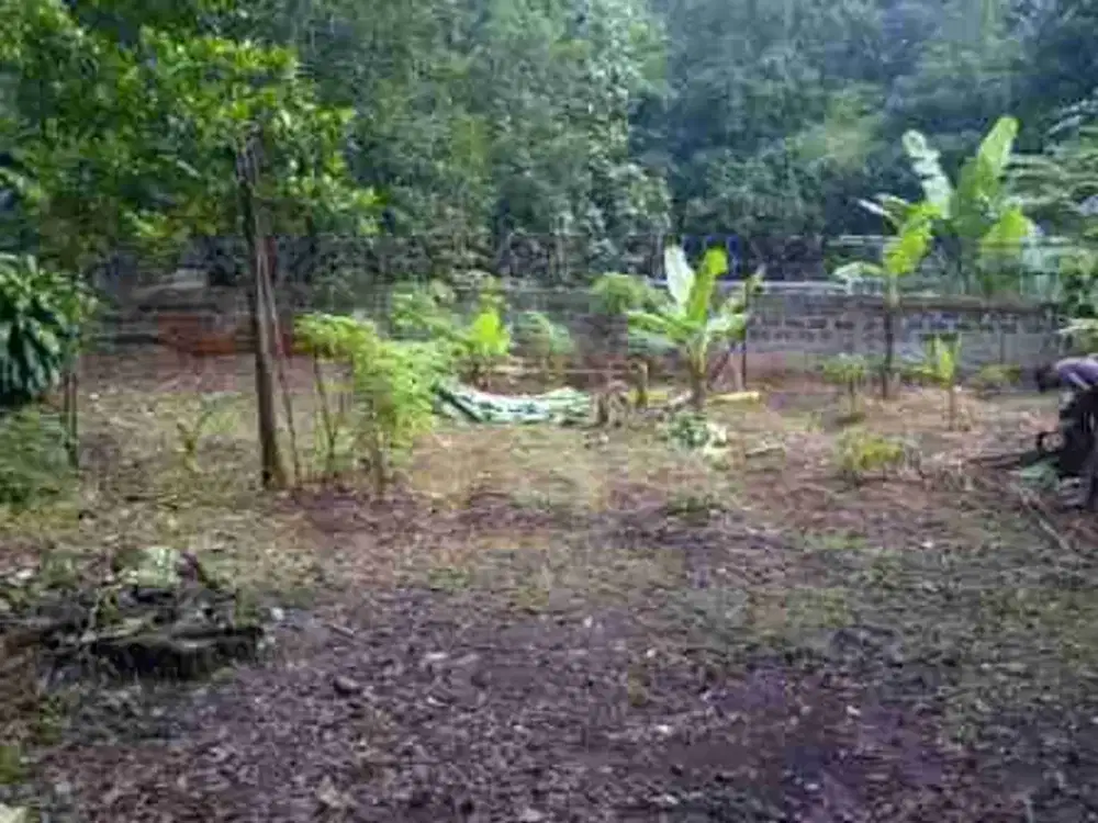 TANAH MURAH SIAP BANGUN DI ANDARA