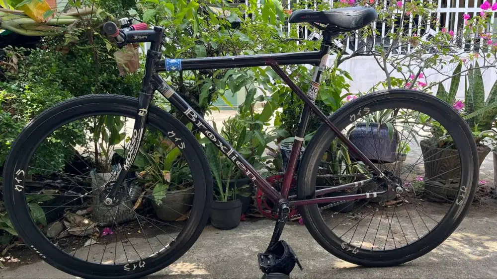 FIXIE ITALIA VELECO MAGNIFICA