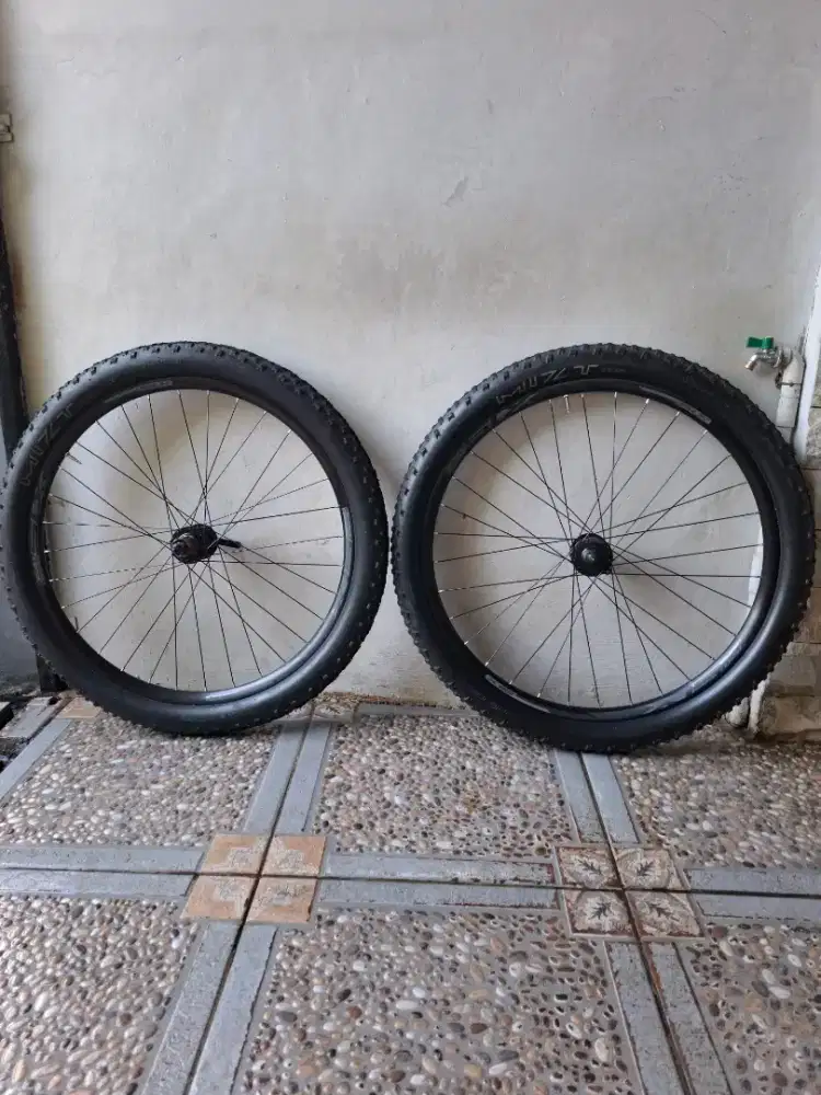 Whelseet polygon xtrada 5