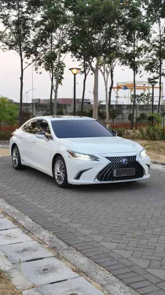 Lexus ES300H Ultra Luxury 2023 NIK 2022 ES300 Hybrid 530i E300 A6