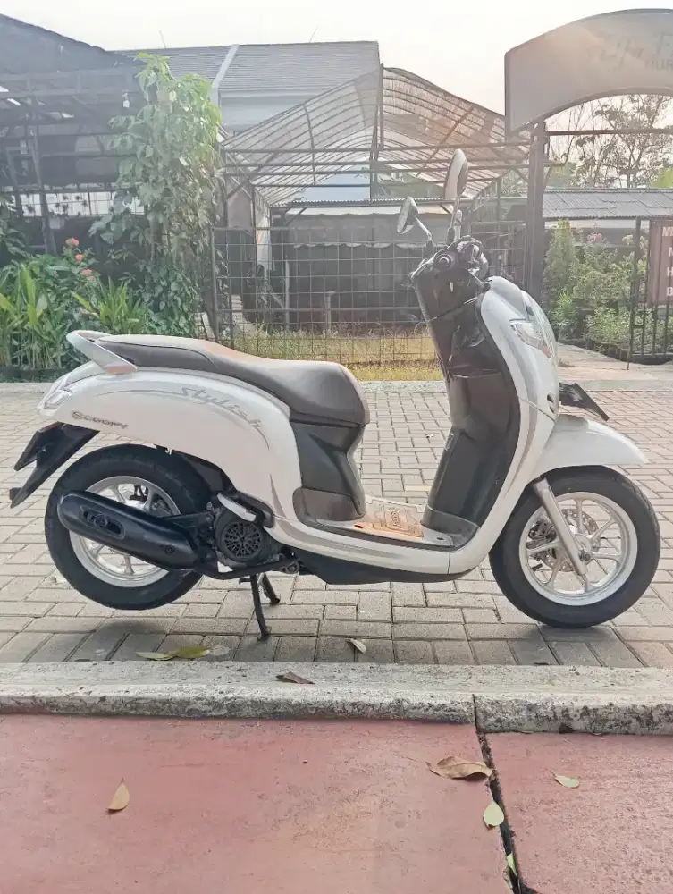 Honda scoopy donat 2020 pajak baru bayar