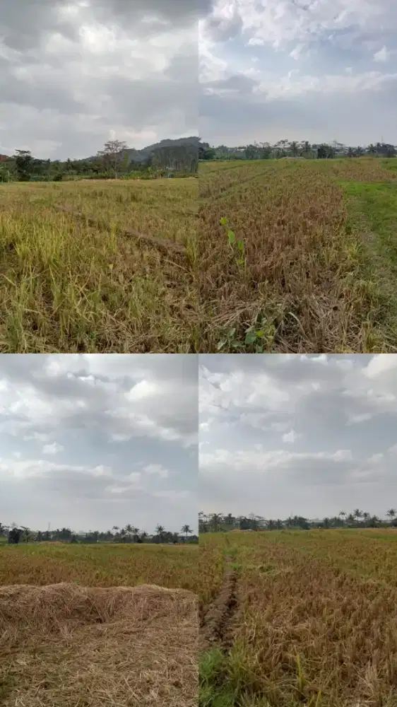 TANAH STRATEGIS – BAWEN, KABUPATEN SEMARANG