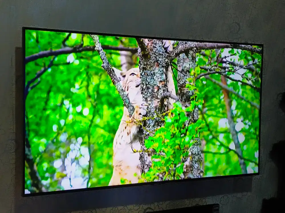 Android tv samsung 50 inchi