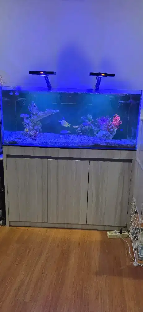 Aquarium Tank Laut 120x60x60 Full Set