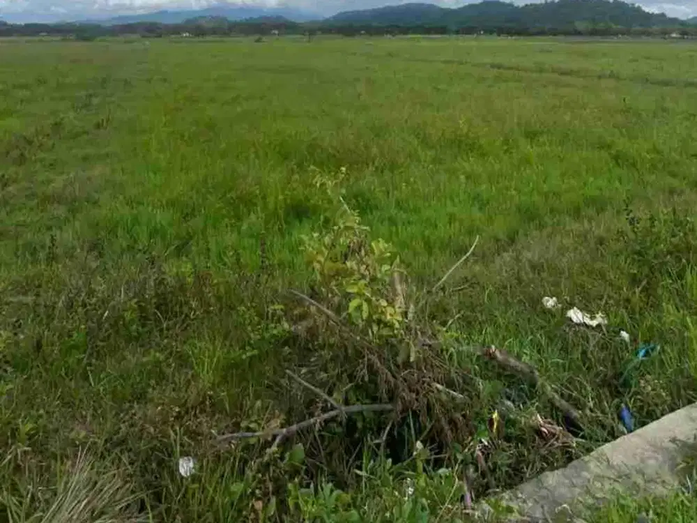 DIJUAL CEPAT TANAH SAWAH DAERAH LOLAK, HARGA MURAH