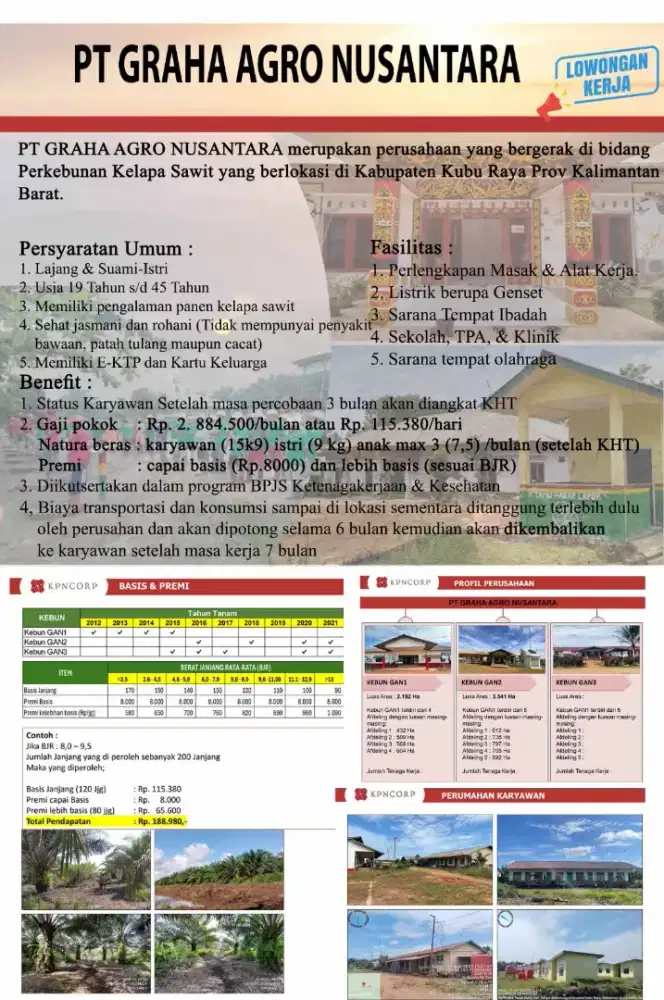 Loker kelapa sawit panen dan perawatan