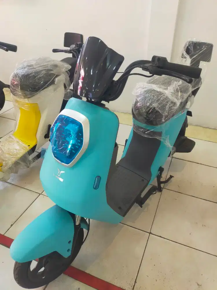 Sepeda listrik m60