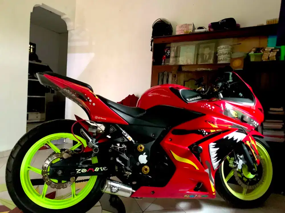 Kawasaki ninja sport 250