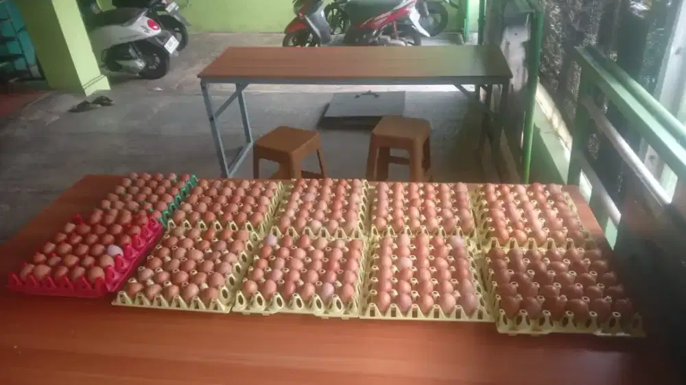 Tukang Produksi Packing Daging
