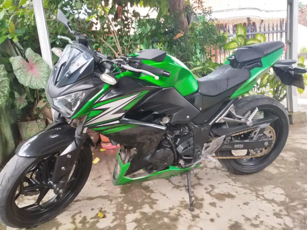 Kawasaki Z250 2 Cylinder