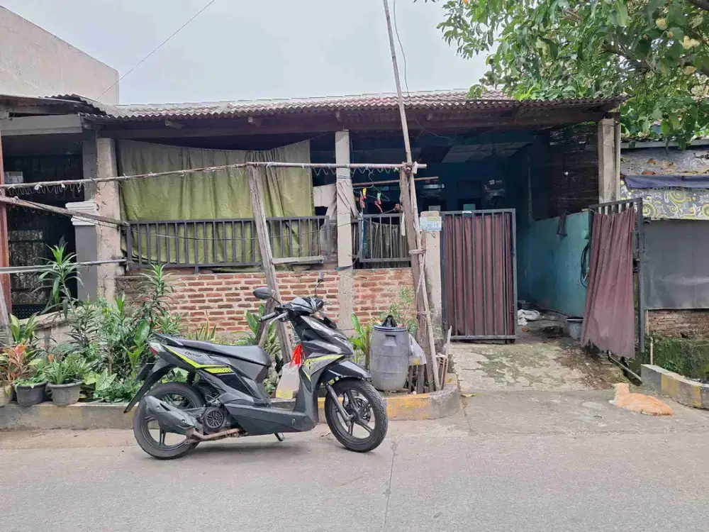 jual cepat walet batavia cadas Tangerang