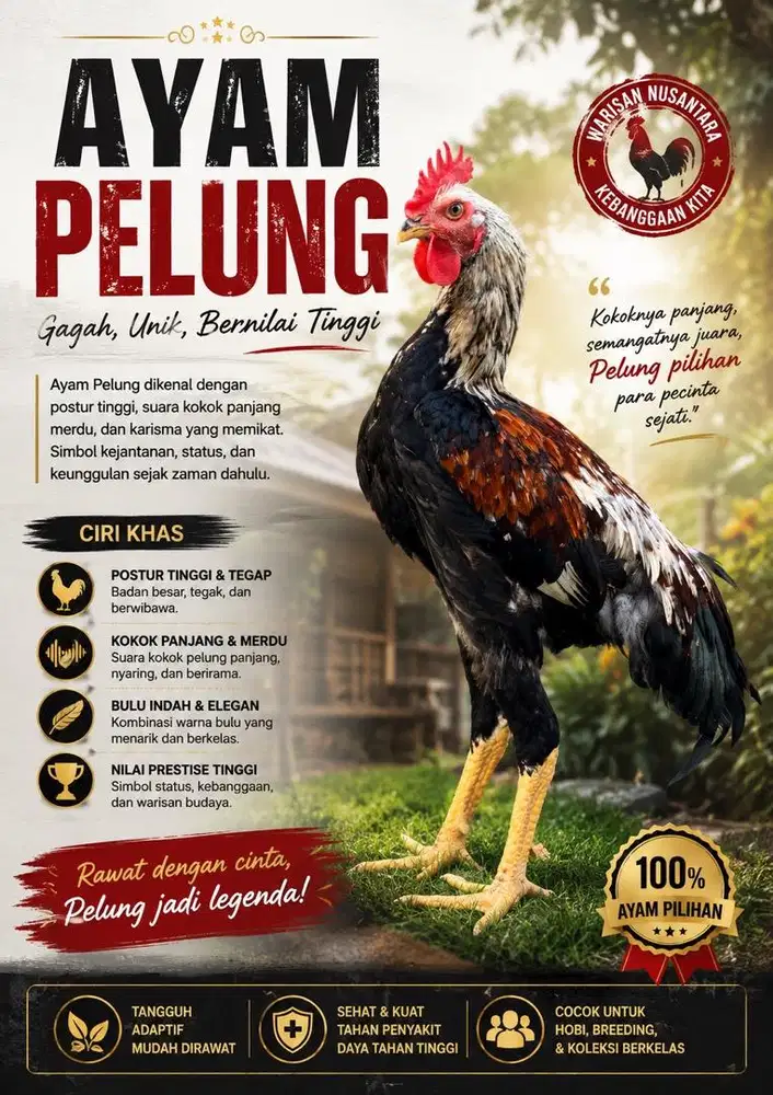 Ayam Pelung Panca Warna Cianjur