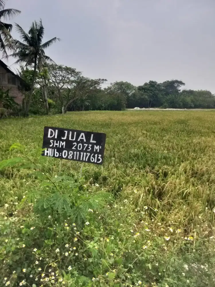 Dijual cepat tanah di gunung kaler kabupaten tangerang