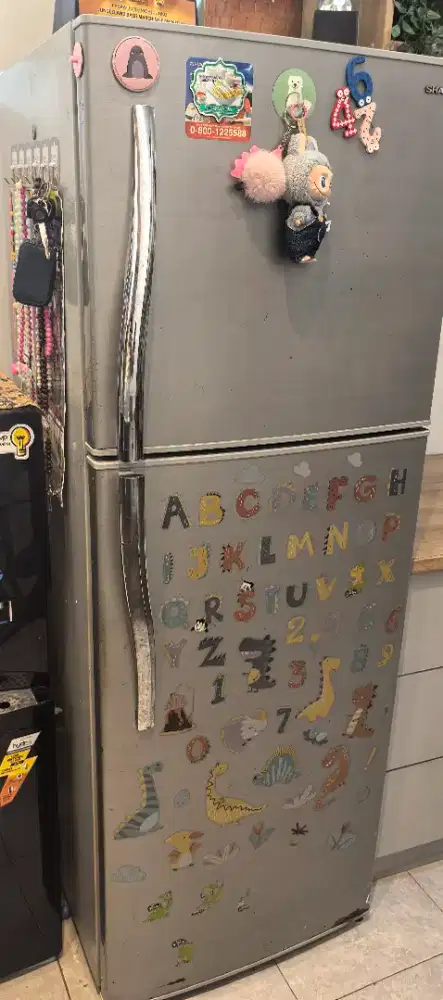 Kulkas sharp 2 pintu besar