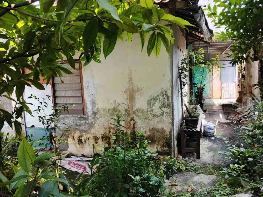 Tanah + Rumah Lama 240 m² Gunung Batu Bogor | Lokasi Strategis Cocok Bangun Ulang