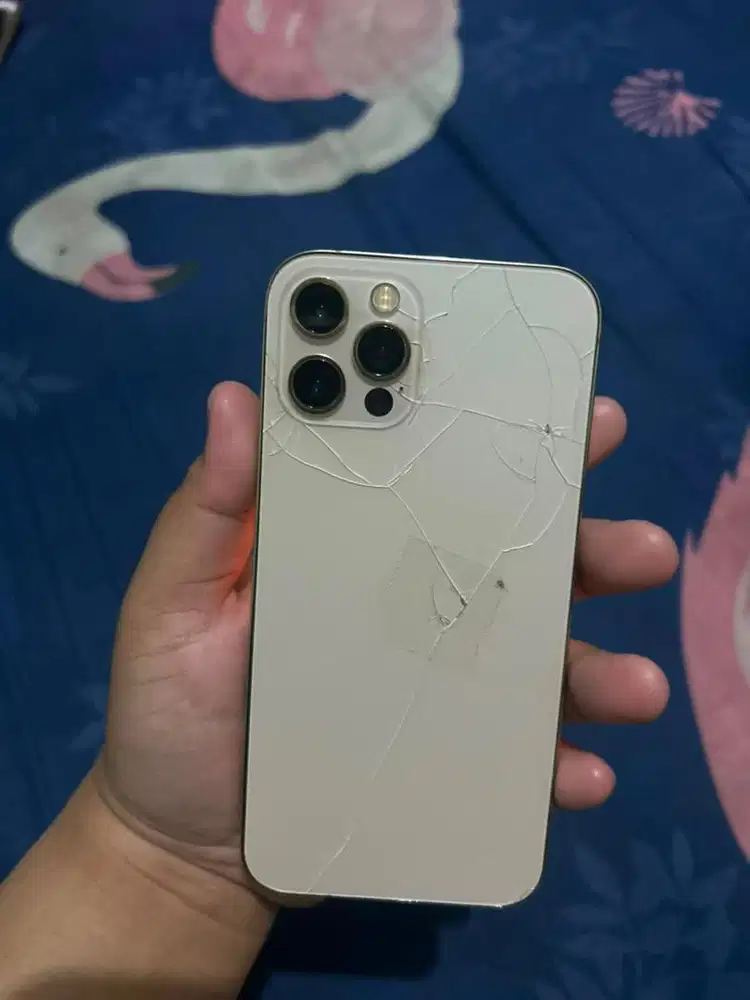 iphone 12 pro second