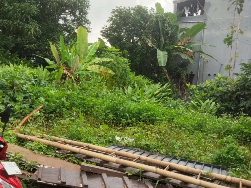 Dijual murah tanah Bulusan selatan dekat Undip tembalang