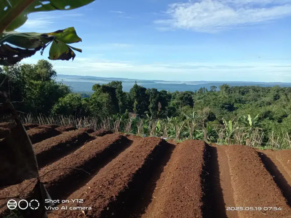 Dijual lahan Pertanian Cidahu