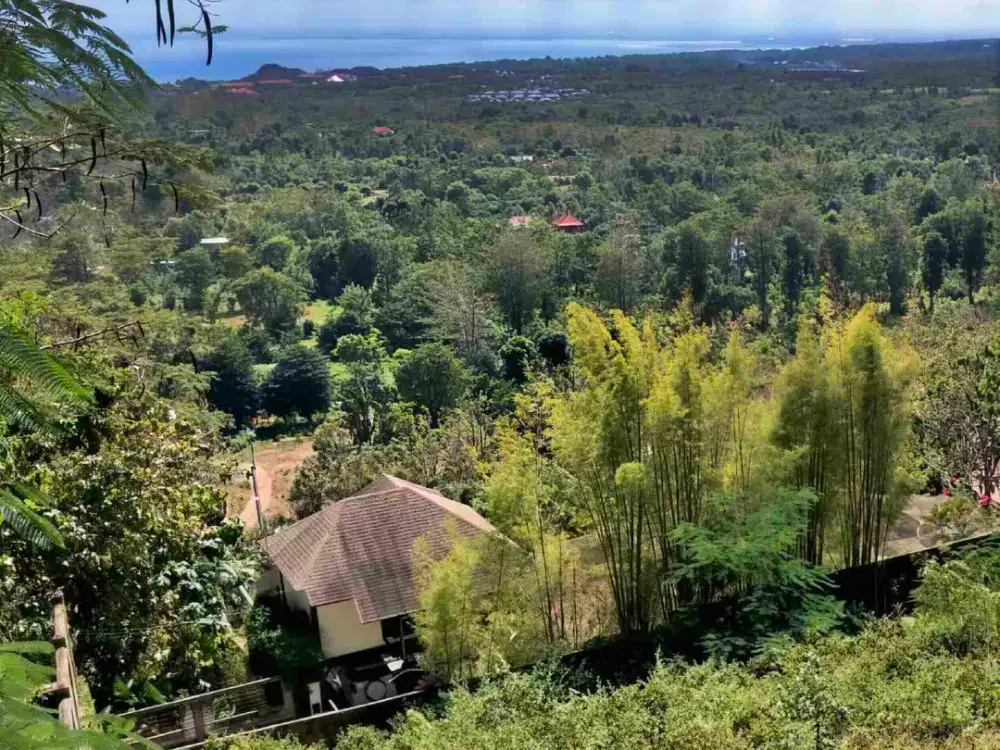 Tanah Unblocked Ocean View Di Labuan Sait Pecatu