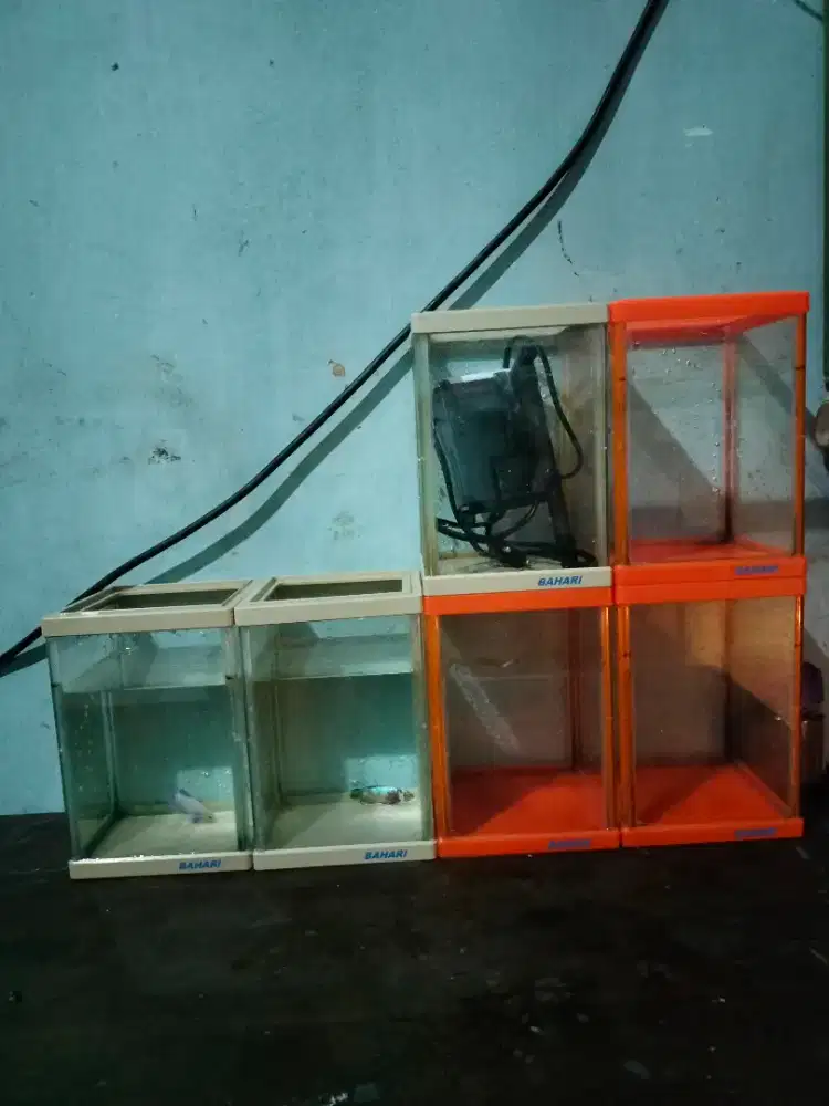 Aquarium Soliter Bahari