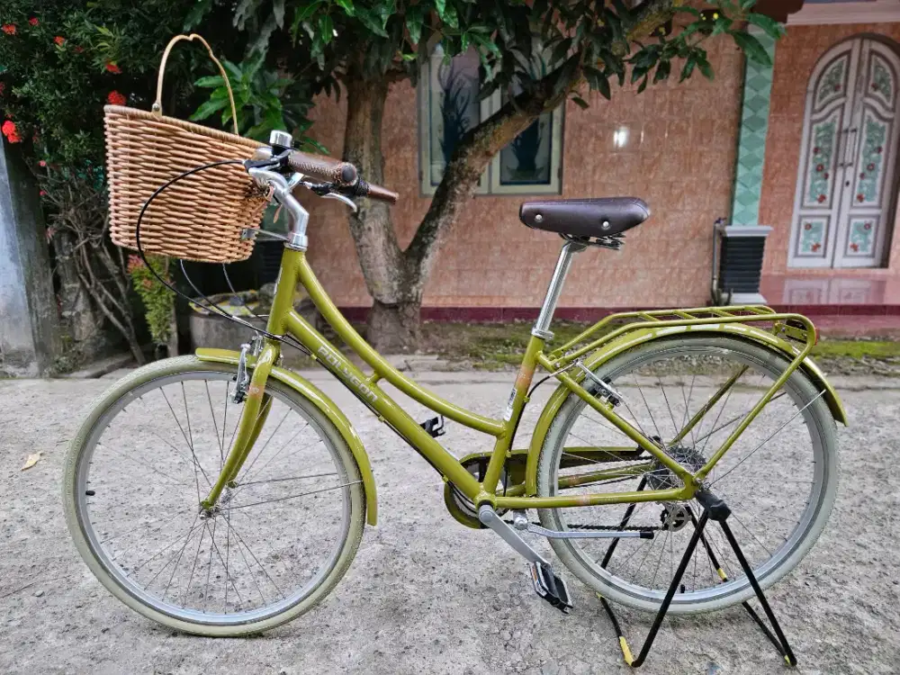 POLYGON OOSTEN 8SPEED kinclong soeri baru cek desk
