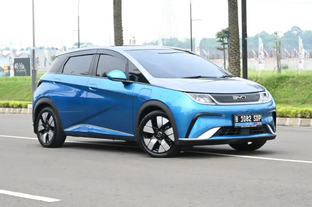 BYD dolphin premium 2025