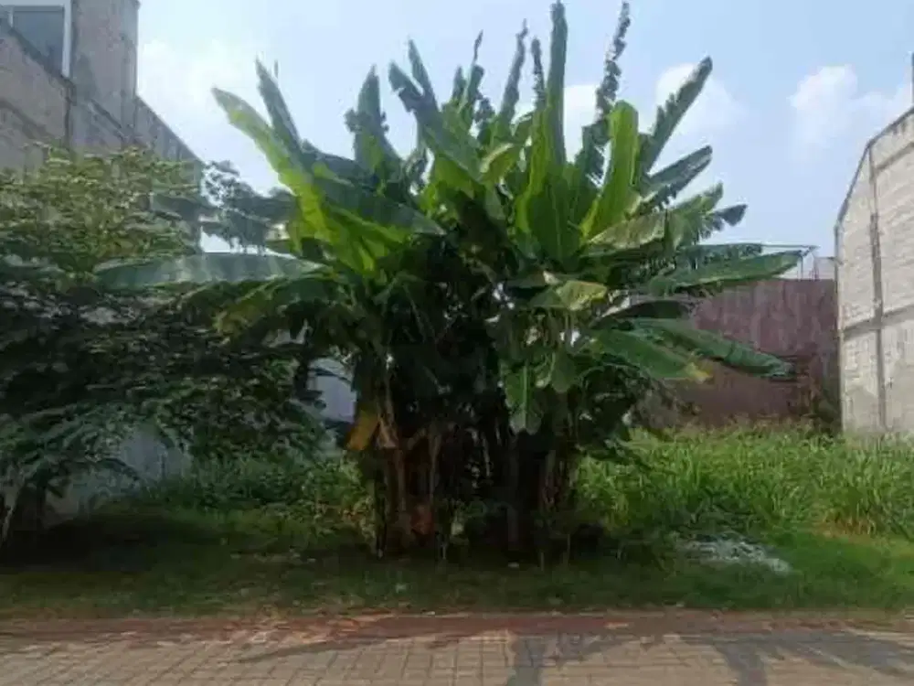 Dijual Rumah di Perumahan Pepaya Residence Kota Tangerang Selatan, 186m, All In!