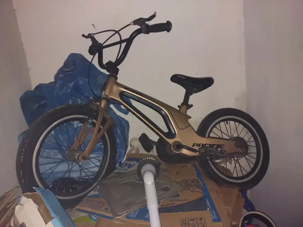 Sepeda magnus 16 inch