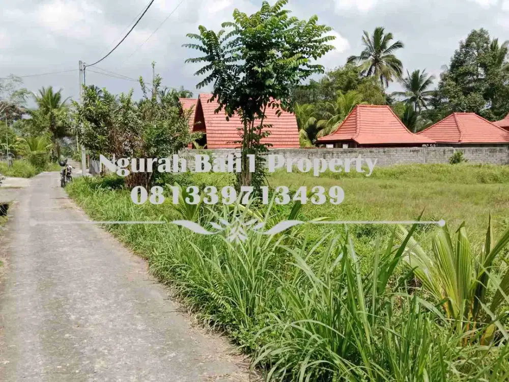 Land For Sale Luas 18 Are View Jungle Kawasan Villa di Ubud Pejeng