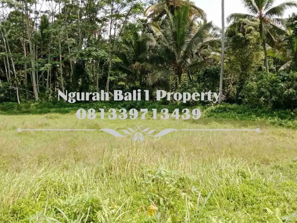 Land For Sale Luas 18 Are View Jungle Kawasan Villa di Ubud Pejeng - Thumbnail 3