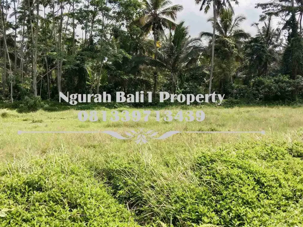 Land For Sale Luas 18 Are View Jungle Kawasan Villa di Ubud Pejeng - Thumbnail 4