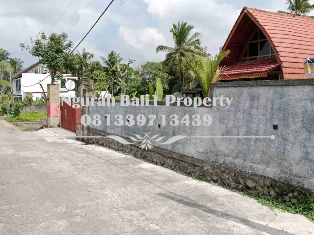 Land For Sale Luas 18 Are View Jungle Kawasan Villa di Ubud Pejeng - Thumbnail 5
