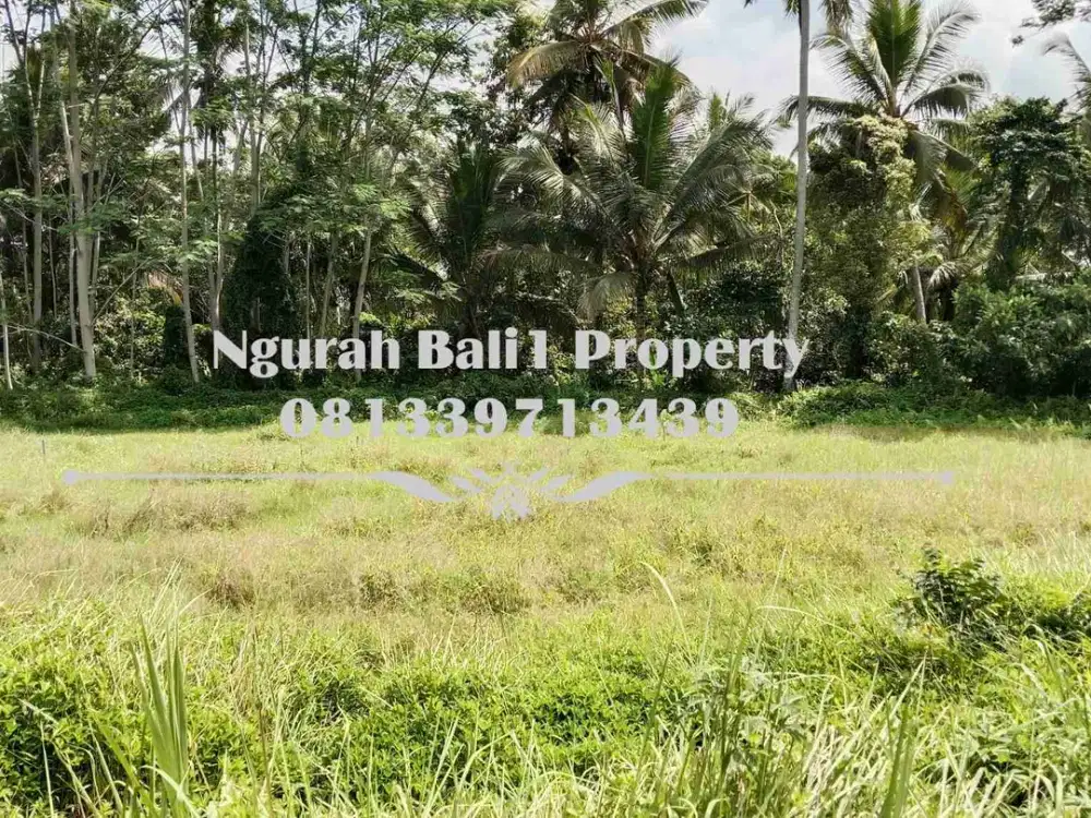 Land For Sale Luas 18 Are View Jungle Kawasan Villa di Ubud Pejeng - Thumbnail 2