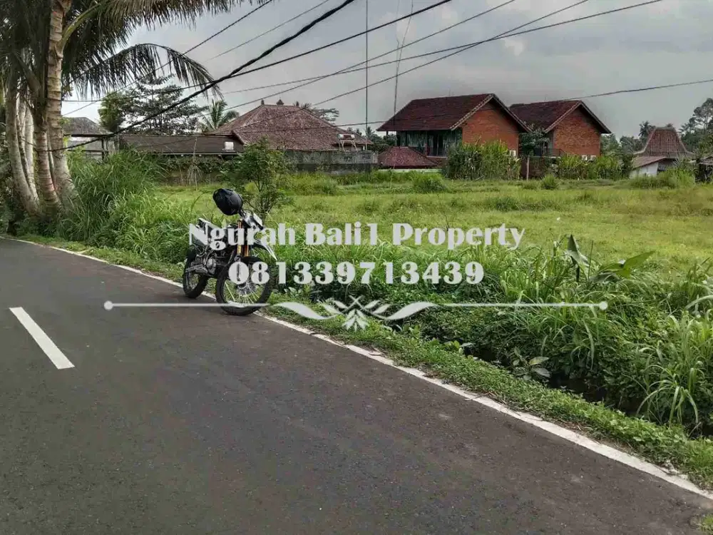 Land For Sale Luas 23,37 Are Kawasan Villa di Ubud Pejeng