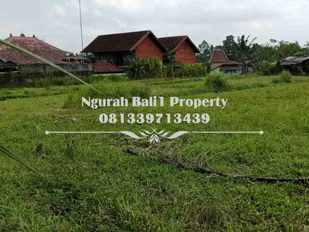 Land For Sale Luas 23,37 Are Kawasan Villa di Ubud Pejeng - Thumbnail 2