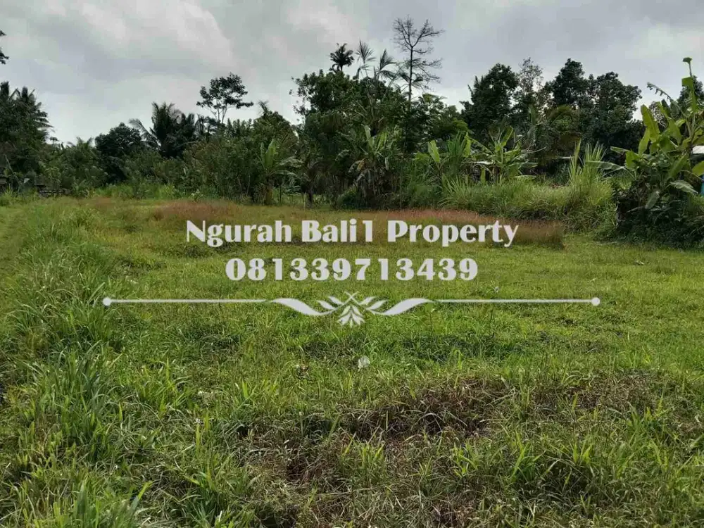 Land For Sale Luas 23,37 Are Kawasan Villa di Ubud Pejeng - Thumbnail 4