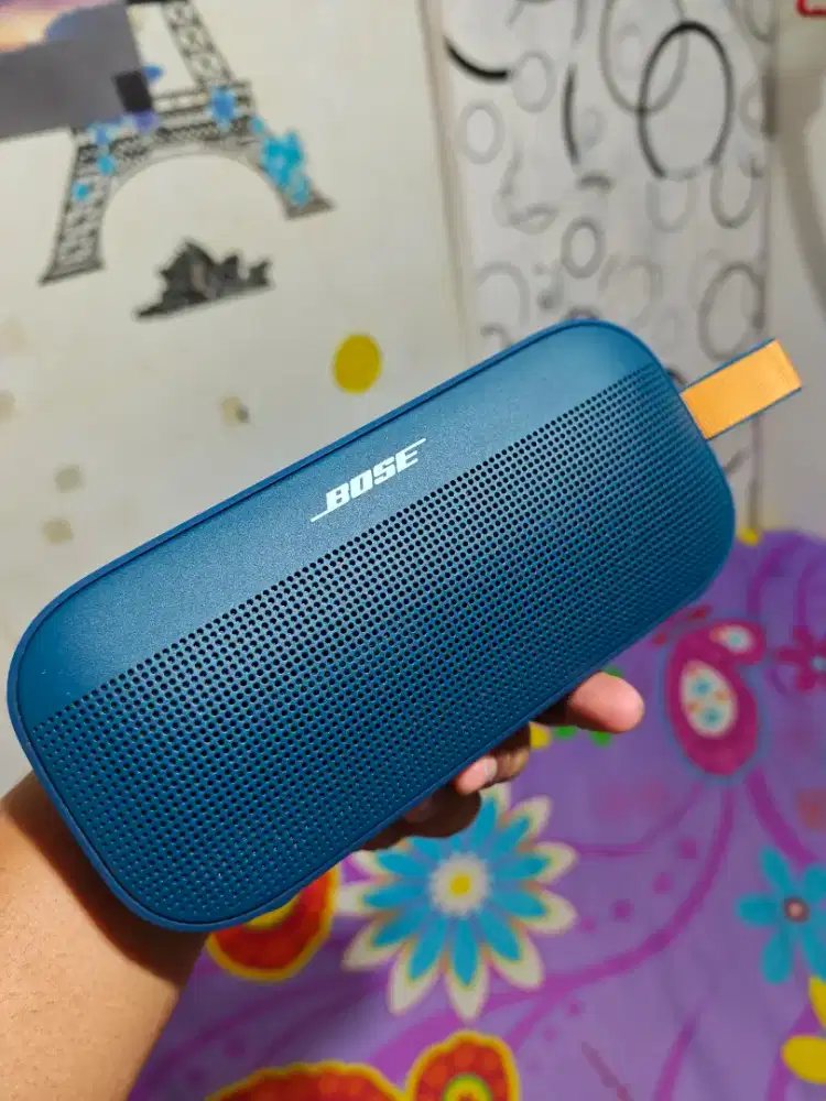 bose flex 2 soundlink