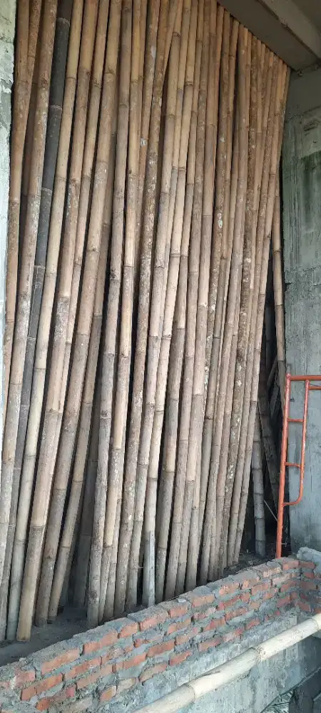 Bambu panjang 5 meter