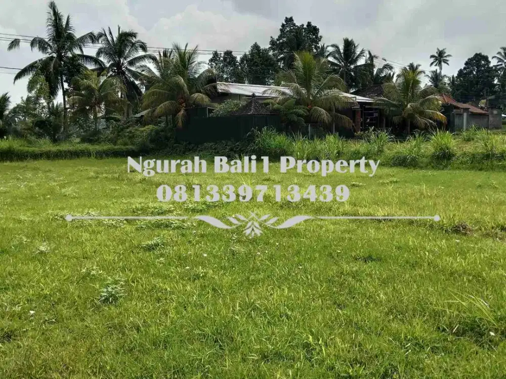 Tanah Dijual Murah Luas 10  Are View Sawah Kawasan Villa di Ubud Pejeng - Thumbnail 5