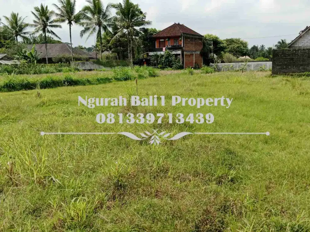 Tanah Dijual Murah Luas 10  Are View Sawah Kawasan Villa di Ubud Pejeng - Thumbnail 4