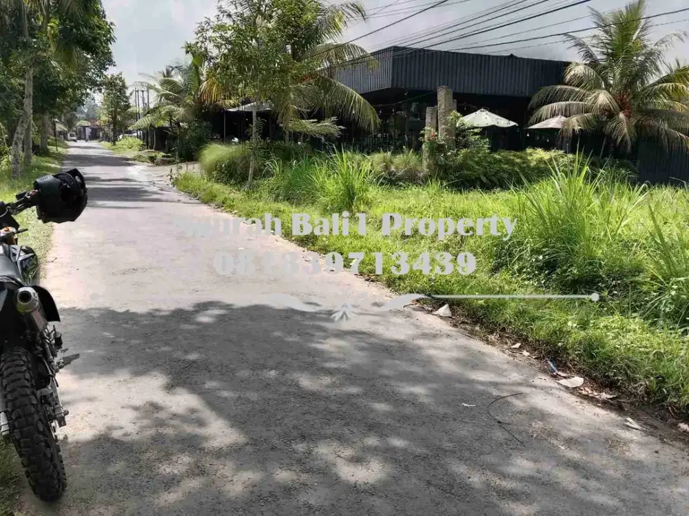 Tanah Dijual Murah Luas 10  Are View Sawah Kawasan Villa di Ubud Pejeng