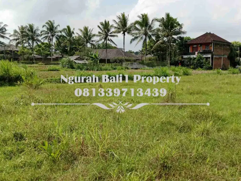 Tanah Dijual Murah Luas 10  Are View Sawah Kawasan Villa di Ubud Pejeng - Thumbnail 3