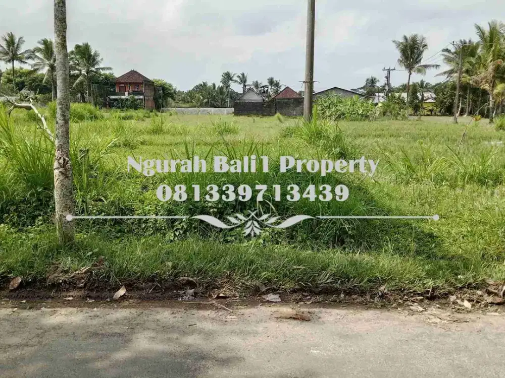 Tanah Dijual Murah Luas 10  Are View Sawah Kawasan Villa di Ubud Pejeng - Thumbnail 6