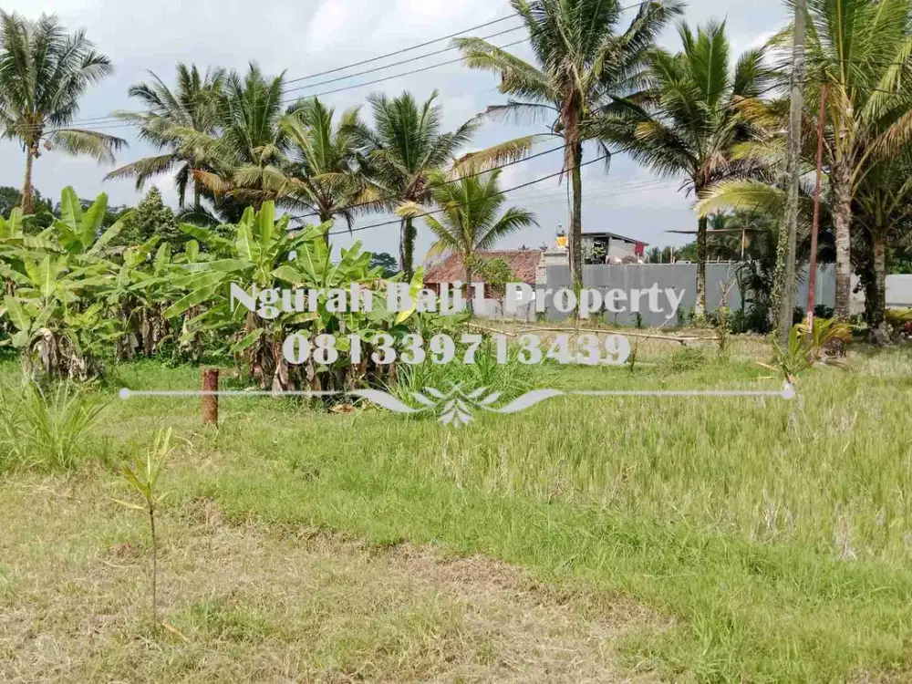 Tanah Dijual Murah Luas 10  Are View Sawah Kawasan Villa di Ubud Pejeng - Thumbnail 2