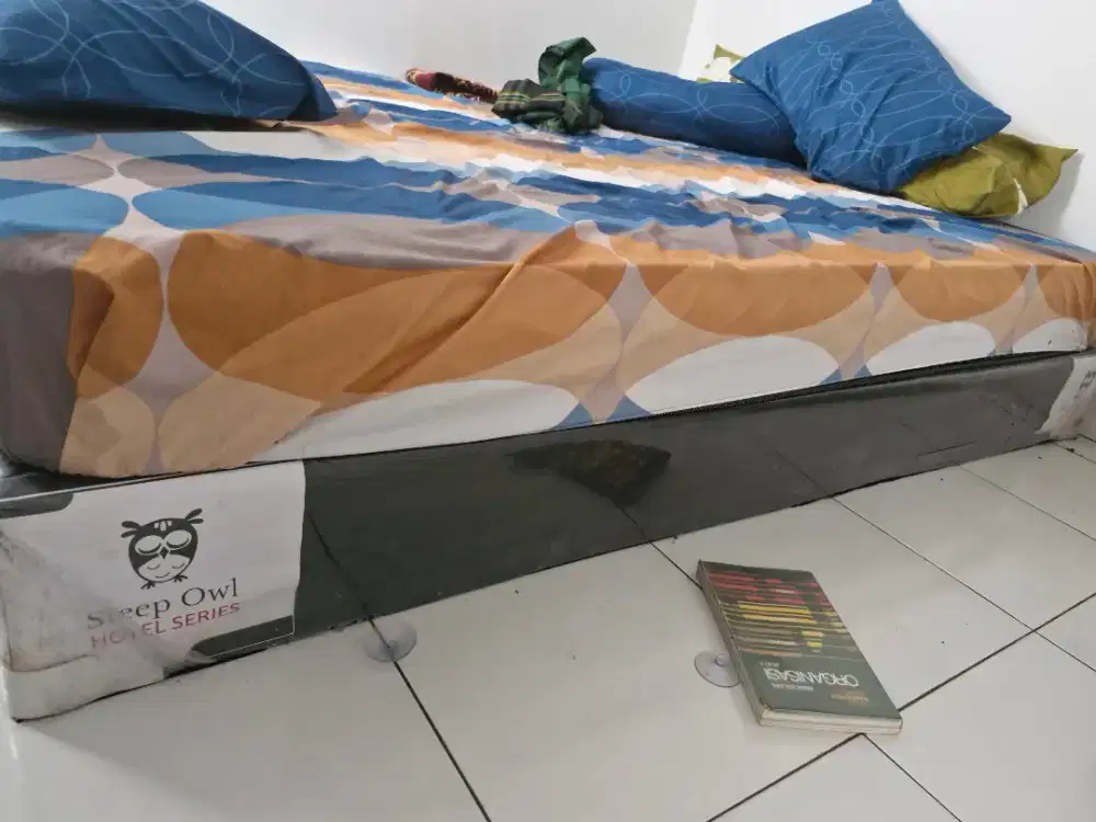 Divan Kasur Sleep Owl