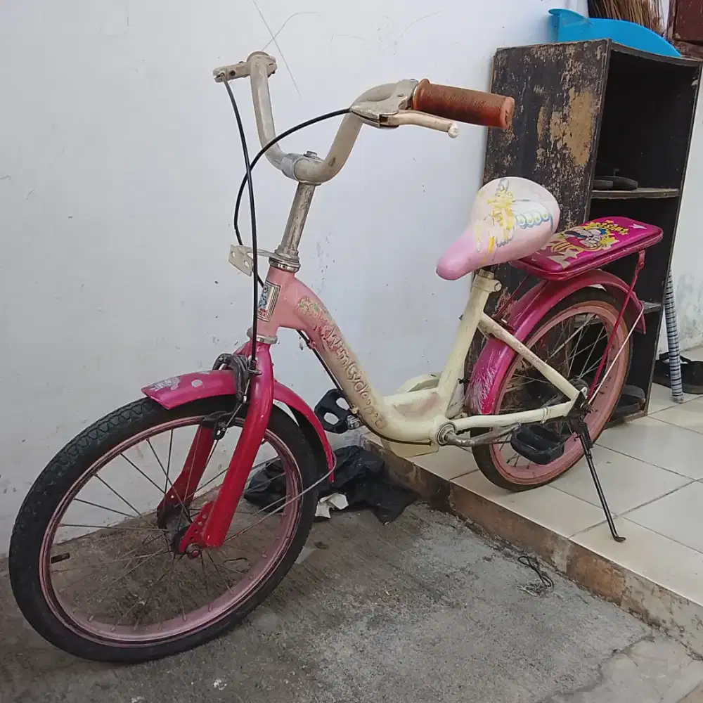 Sepeda Anak Perempuan 20 Warna Pink – Masih Layak Pakai