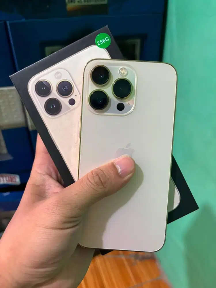 iPhone 13 Pro 256 GB Gold