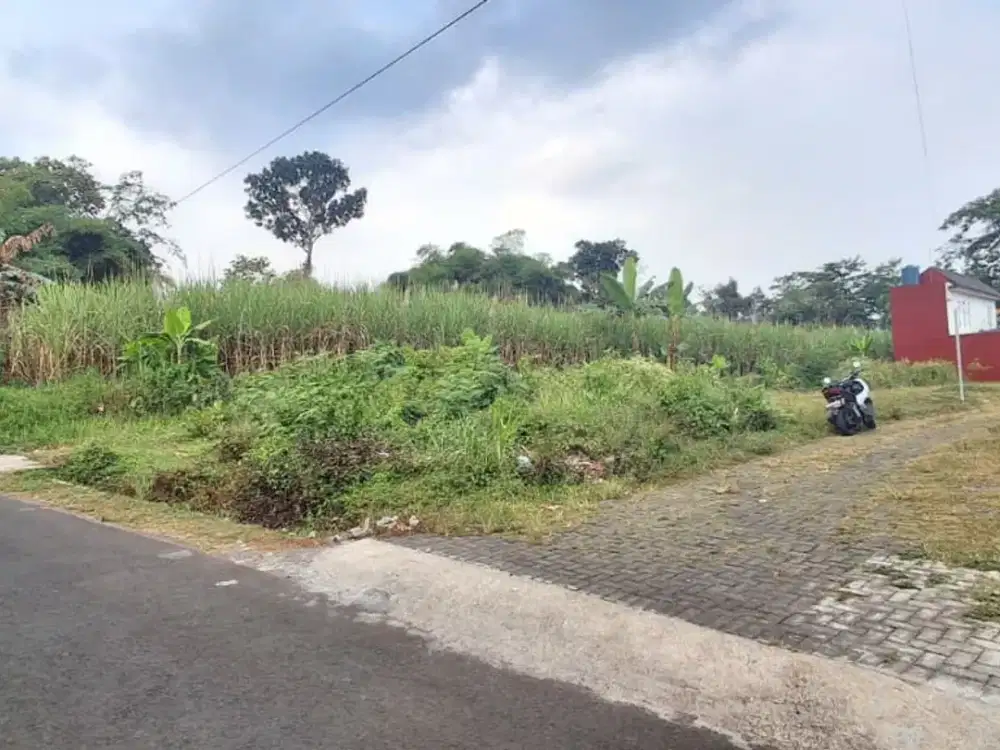 Tanah Jual murah B.U Pakisjajar Malang SHM Split dkt Pasar Pakis