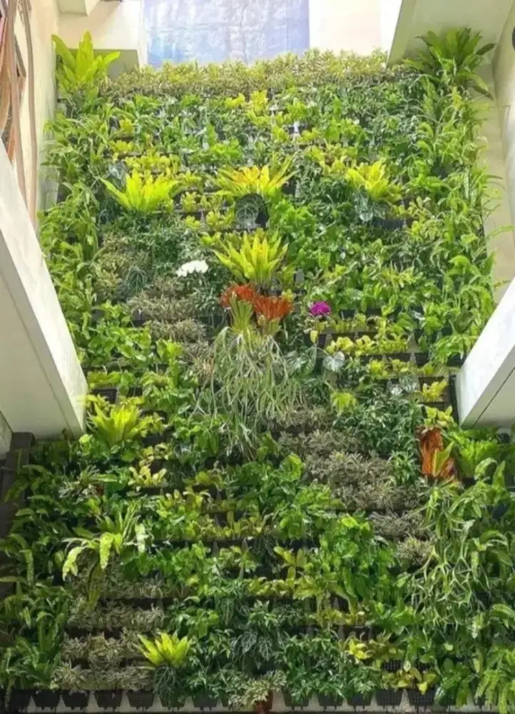 Vertical garden outdoor atau indoor